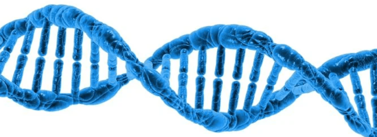 DNA